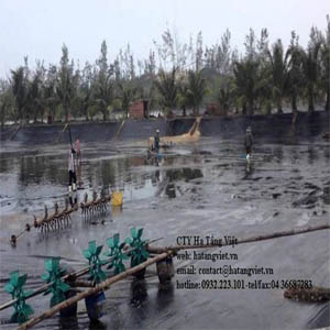 HƯớng dẫn thi công màng HDPE hồ nuôi thủy san