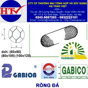 Rồng đá mắt lưới 8