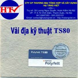 Vải địa kỹ thuật TS80