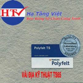 Vải địa kỹ thuật TS65